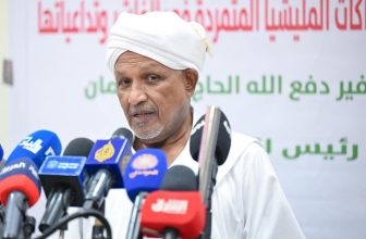 دبلوماسي رفيع يطالب بإجراءات حاسمة ضد المليـ شيا..