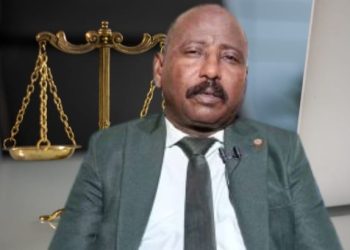 السودان يرفض قرار بشأن الفاشر
