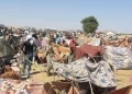 الهجرة الدولية: 1290 نازحا جديدا من ولايتين في السودان