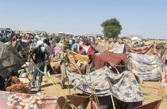 الهجرة الدولية: 1290 نازحا جديدا من ولايتين في السودان