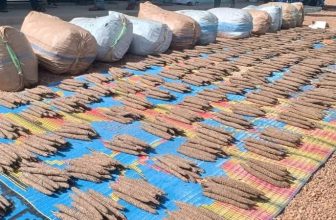 إحباط عملية تهريب كبيرة بولاية سودانية