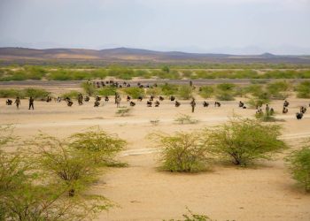 رئيس مجلس السيادة السوداني يجري اتصالاً هاتفيًا مع الرئيس الأوغندي