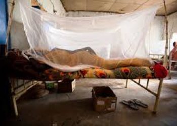 موجة جديدة لحمى الضنك في الخرطوم