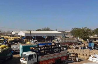 السودان.. ارتفاع سعر محصول السمسم والذرة