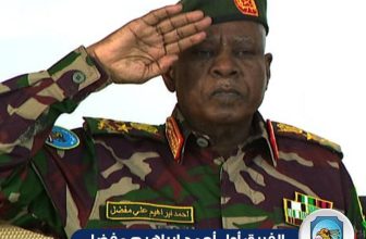 انتظام جهاز المخابرات العامة في جميع محاور القتال