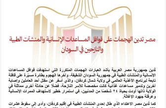 مصر تدين الهجمات على المنشآت الطبية في السودان