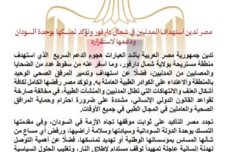 مصر تدين هجوم المي0ليشيا على مستريحة وتؤكّد ثبات موقفها