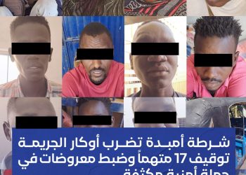 السودان..إيقاف 17 متهمًا