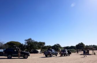 تشاد تبدأ نقل لاجئين سودانيين بشكل طارئ