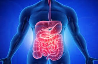 دراسة: شيخوخة الأمعاء تزيد من تدهور القدرات الإدراكية