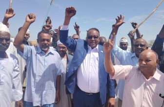 اكتمال حصاد 80% من مساحات القمح بمشروع الجزيرة