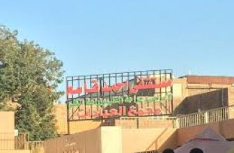 السودان.. نجاح إجراء 14 عملية زراعة كلى بمستشفى أحمد قاسم
