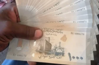 السودان.. ديوان الخدمة يشرع في تنفيذ زيادة الأجور