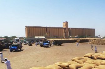 إنخفاض وارد المحاصيل بسوق القضارف