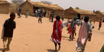 فصول من قش.. أطفال السودان في خيام تشاد يكتبون أحلامهم بالفحم