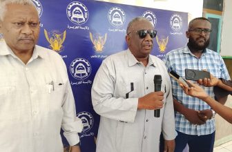 مسؤول يعلن زيادة حصة الجزيرة من الشبكة القومية للكهرباء