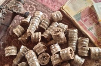 السلطات تضبط مروّج كان يخطّط لاستهداف”طواحين دار مالي”