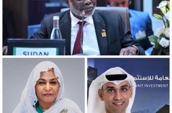 وزير المالية يبحث مع الهيئة العامة للاستثمار الكويتية تعزيز التعاون الاقتصادي