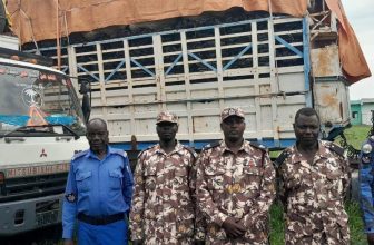 السودان.. السلطات تضبط شحنة فحم في محمية شهيرة