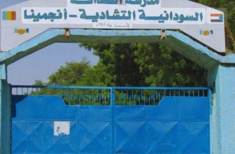 مدرسة الصداقة السودانية التشادية بأبشي تتصدر المراكز الخارجية في الشهادة الثانوية 2026