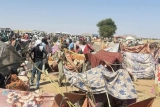 الهجرة الدولية: 1290 نازحا جديدا من ولايتين في السودان