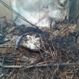 «المليشيا » تستبيح معسكر «  أبوشوك»