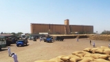 إنخفاض وارد المحاصيل بسوق القضارف