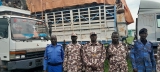 السودان.. السلطات تضبط شحنة فحم في محمية شهيرة