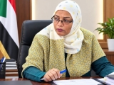 التعليم العالي توضّح تفاصيل إجراءات التقديم بالشهادات العربية والأجنبية