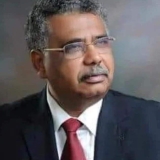 عصمت : “تقدم” محصنة من شطط  المؤتمر الوطني..