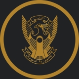 (تعديلات الوثيقة الدستورية).. خطوات ترتيب المشهد!!