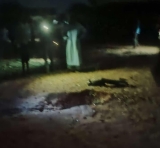 المليـ. شيا تقصف “أم روابة” بالمدفعية..