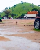 توقعات بالتحام جيوش الدلنج وكادقلي قريبا..