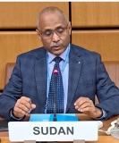 الحكومة تدعو لاتخاذ إجراءات دولية حاسمة ضد المليـ.شيا