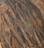 “فظائع المليـ شيا”.. العثور على جثامين مكدسة في صندوق بالصالحة..