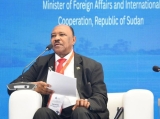 تفاصيل خطاب وزير الخارجية في منتدى السلام بأسوان..
