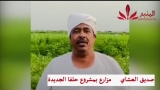 شاهد.. مزارع يتبرع بنصف إنتاجه لدعم القوات المسلحة.. المنبر وعيك يبني 🇸🇩