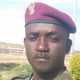 المشتركة: المليشـ.. يا الى زوال..