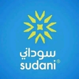 مليشيا الدعم السريع تعطّل شركات الاتصالات وتحدد شروطًا