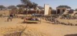 بيان ناري لحكومة ولاية شمال كردفان